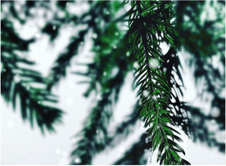 9-Foot Christmas Tree with Glass Ornaments